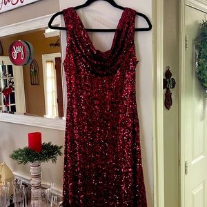 Formal Crimson size 10 Cachet dress